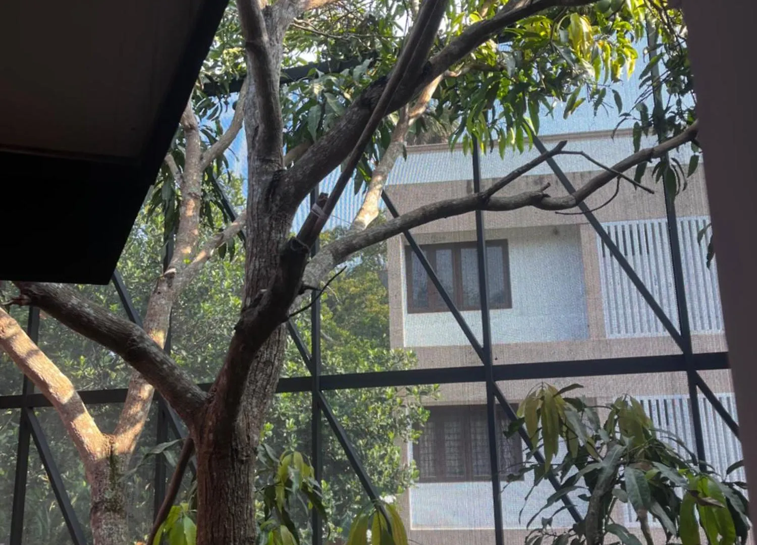 Homestay Red Mansion Apartment Thiruvananthapuram India